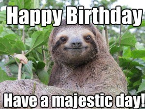 Happy birthday meme have a majestic day……