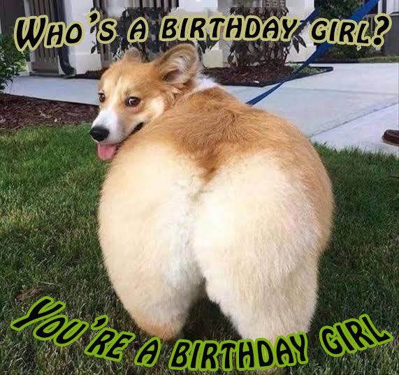 999 Best Collection Of Happy Birthday Meme In Year 2020